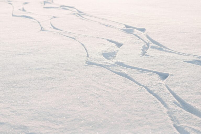 Skillup Freeride LInes