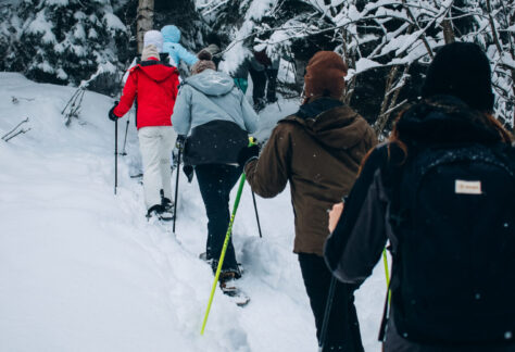 Skillup Schneeschuhwanderung