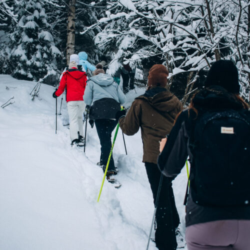 Skillup Schneeschuhwanderung