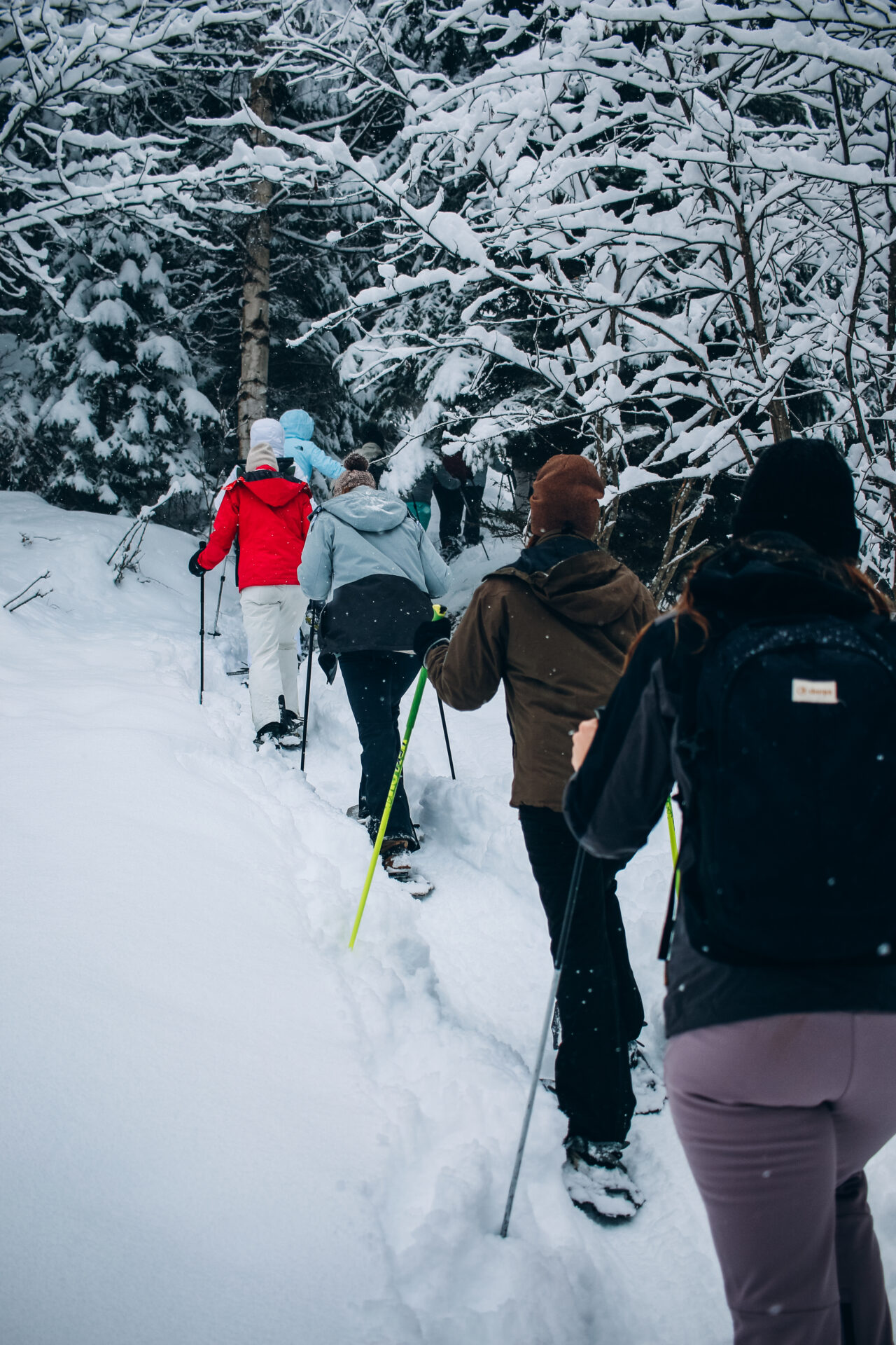 Skillup Schneeschuhwanderung