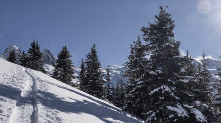 Skillup Val Medel Winter